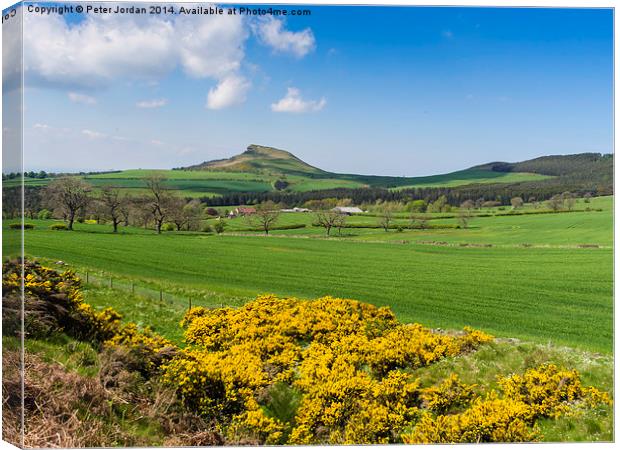 Roseberry Topping Spring Canvas Print by Peter Jordan