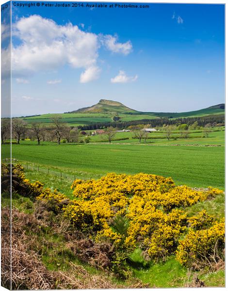 Roseberry Topping Spring Canvas Print by Peter Jordan