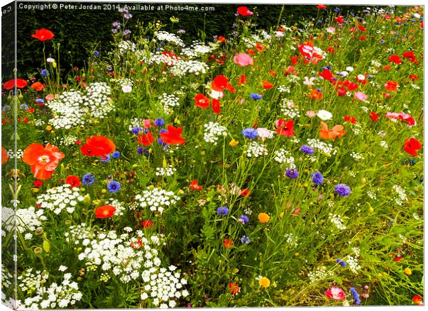  English Wildflower Meadow Canvas Print by Peter Jordan