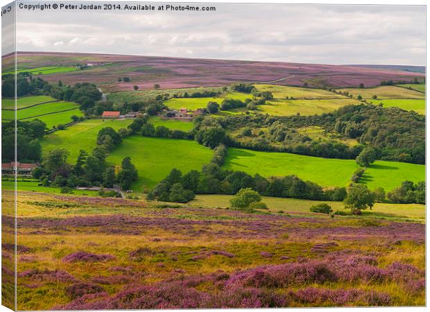   Heather Landscape Canvas Print by Peter Jordan