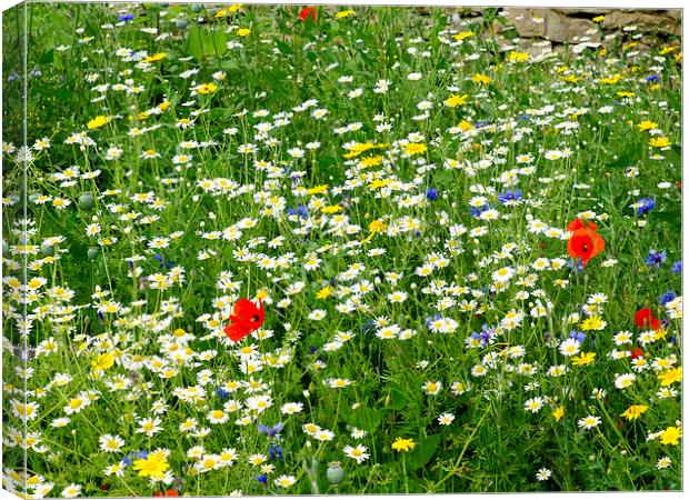   Yorkshire Wild flower meadow Canvas Print by Peter Jordan