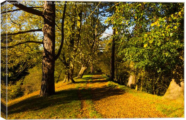  Autumn footpath English Country Park Canvas Print by Peter Jordan