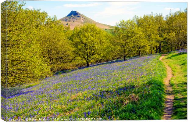 Bluebells in the Spring with Roseberry Topping Nor Canvas Print by Peter Jordan