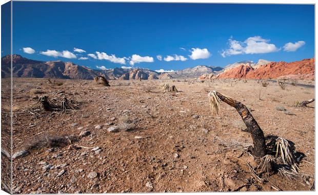 Red Rock Canyon Canvas Print by Andy Barker