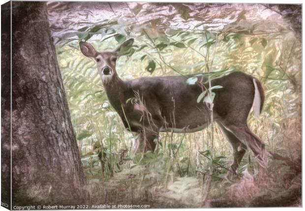 White-tailed deer in woodland. Canvas Print by Robert Murray