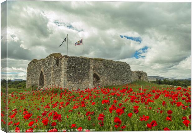 Castle Roy with Poppies Canvas Print by Robert Murray