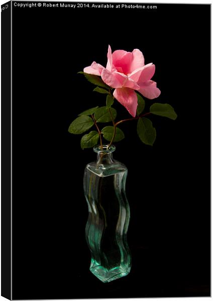  Rose in Bottle Canvas Print by Robert Murray