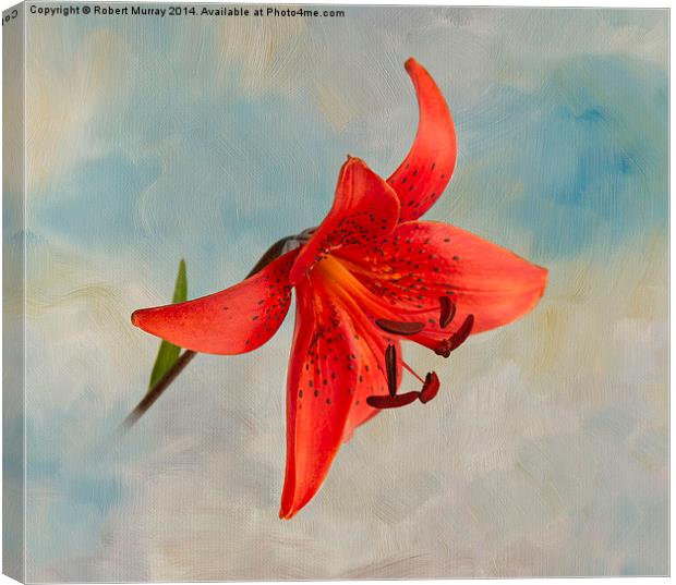  Lily in the Sky Canvas Print by Robert Murray