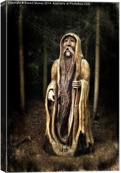  Old Man of the Forest Canvas Print by Robert Murray