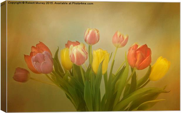  The Joy of Tulips Canvas Print by Robert Murray