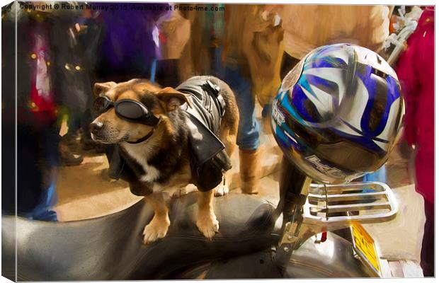  Biker Dog Canvas Print by Robert Murray