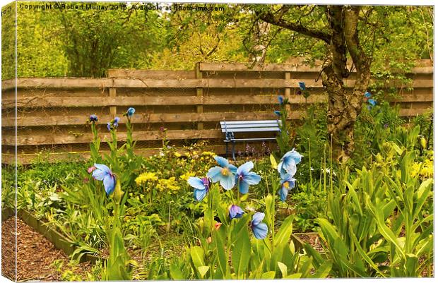  The Blue Bench 2 Canvas Print by Robert Murray