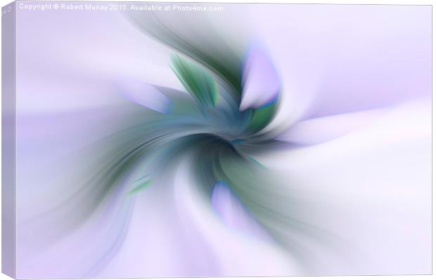  Floral Abstract Canvas Print by Robert Murray