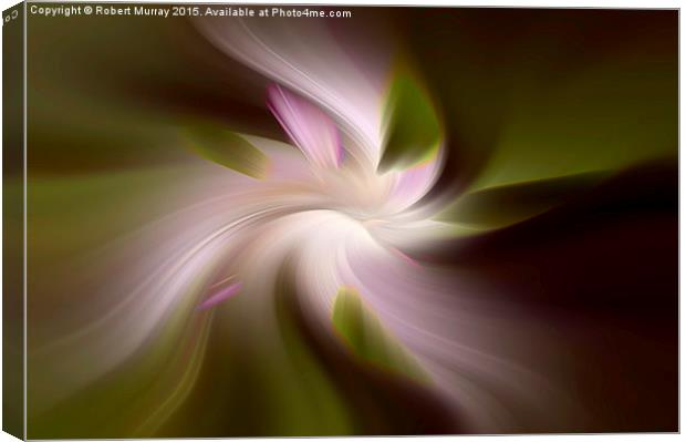  Floral Abstract 2 Canvas Print by Robert Murray