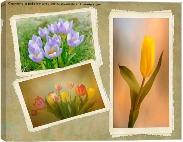 Visions of Springtime Canvas Print by Robert Murray