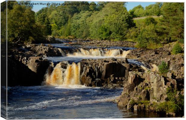 Low Force Canvas Print by Robert Murray