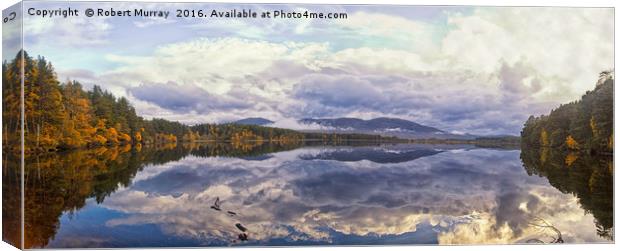 Reflections Canvas Print by Robert Murray