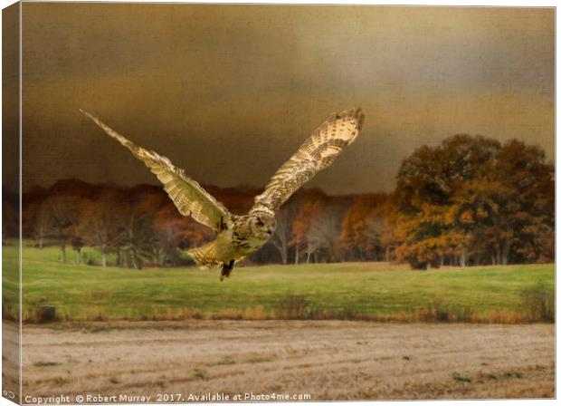 Eagle Owl Hunting Canvas Print by Robert Murray