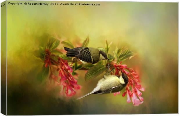 Great Tits on Flowers Canvas Print by Robert Murray