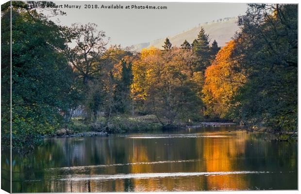 In the Yorkshire Dales Canvas Print by Robert Murray