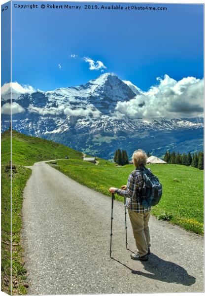 Contemplating the Eiger Canvas Print by Robert Murray