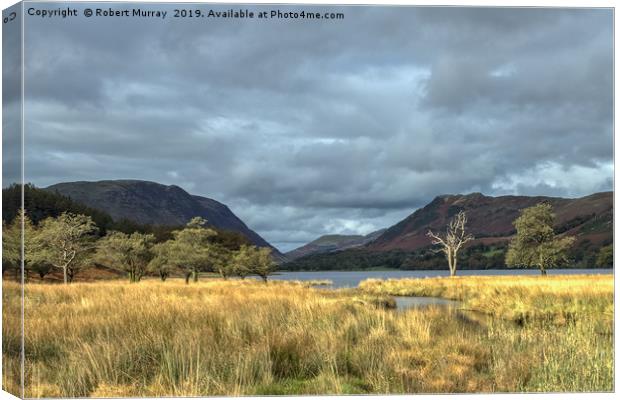 Buttermere Trees Canvas Print by Robert Murray