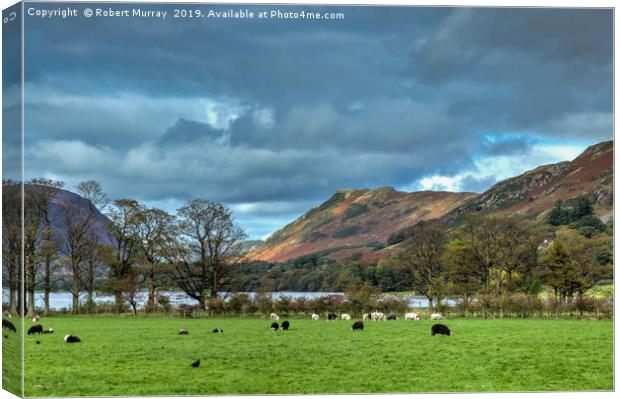 Pastoral Scene at Buttermere Canvas Print by Robert Murray