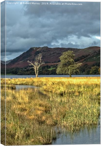 Lonesome Trees Canvas Print by Robert Murray