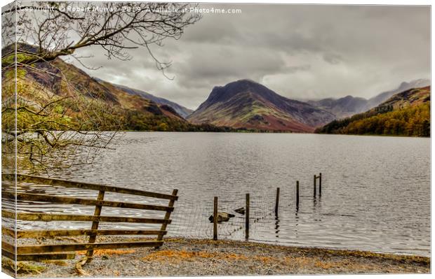 Fence Line into Buttermere Lake Canvas Print by Robert Murray