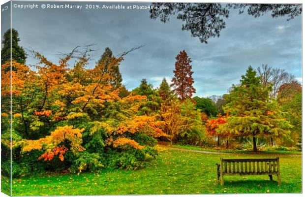 Bench with Autumn Trees Canvas Print by Robert Murray