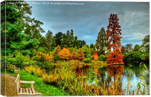  Autumn Colours Reflected in Pond Canvas Print by Robert Murray