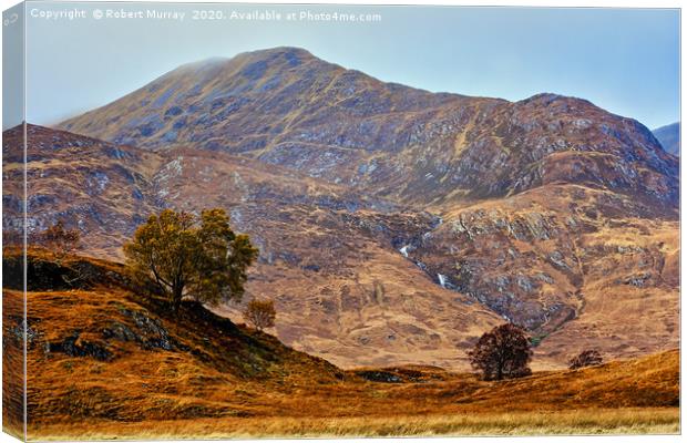 Lonely Trees in the Hills Canvas Print by Robert Murray