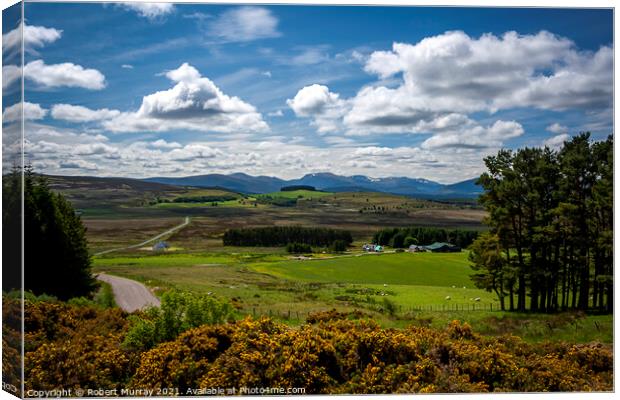 The Cairngorms from the Snow Road Canvas Print by Robert Murray