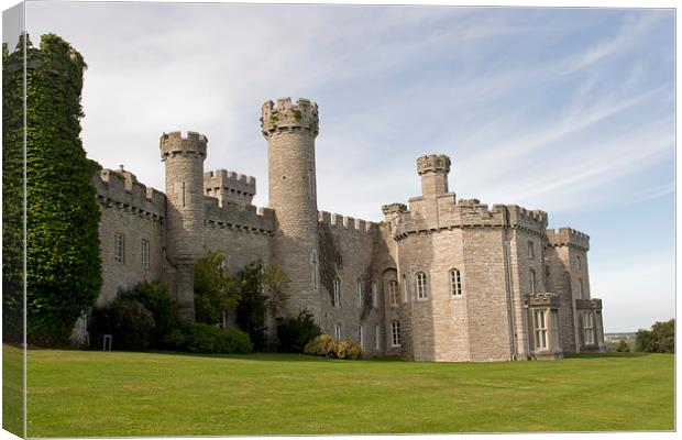 Bodelwyddan Castle, North Wales Canvas Print by Andy Heap
