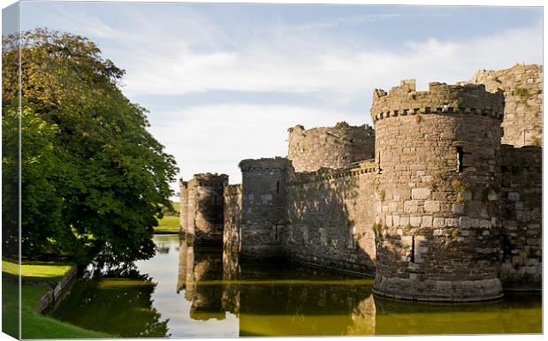  Beaumaris Castle, Anglesey Canvas Print by Andy Heap
