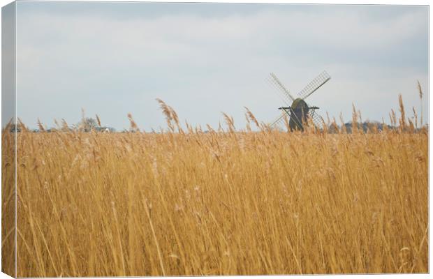 Windmill near Somerleyton, Suffolk Canvas Print by Andy Heap