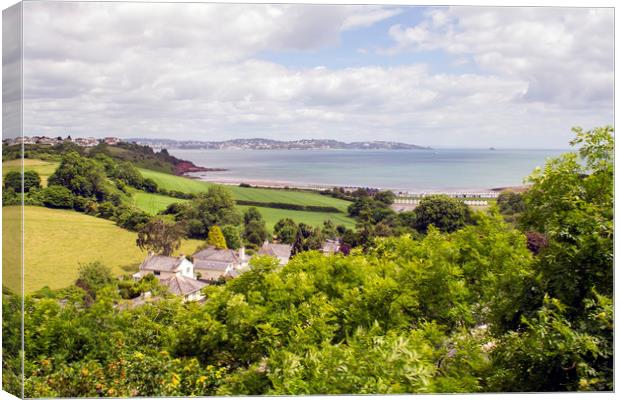 Torbay from the Train Canvas Print by Andy Heap