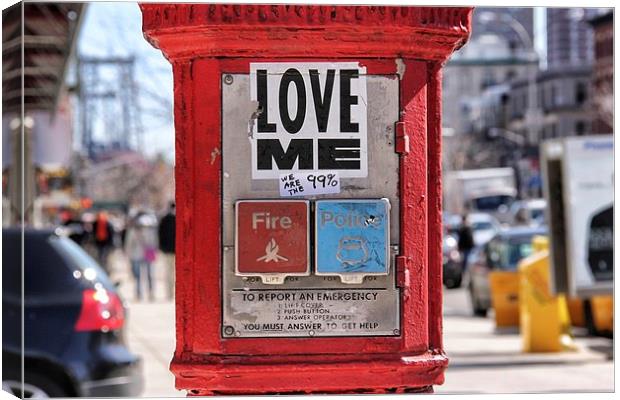 Love me Canvas Print by Fiona Miller