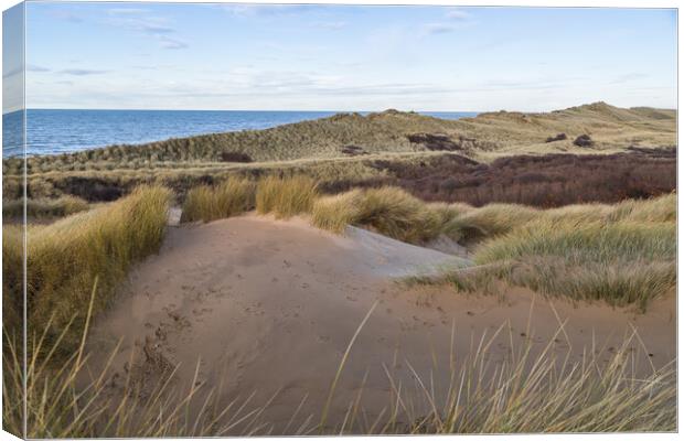 Formby sand dunes seascape Canvas Print by Jason Wells