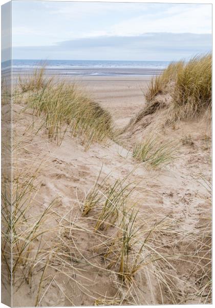 Marram grass on the dunes at Formby Canvas Print by Jason Wells
