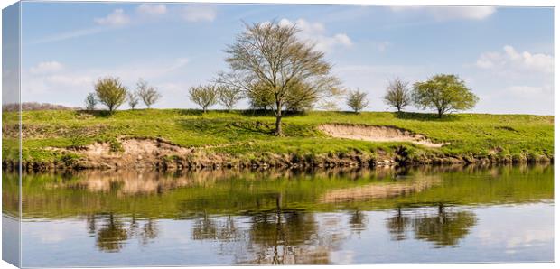 Trees on the banks of the River Ribble Canvas Print by Jason Wells