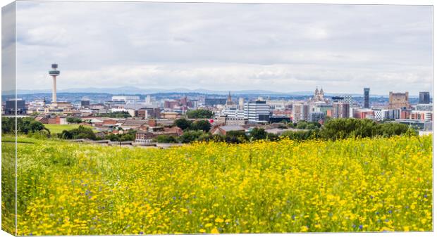 Liverpool skyline over a flower meadow Canvas Print by Jason Wells