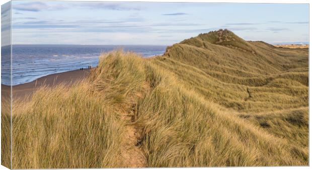 Formby sand dunes  Canvas Print by Jason Wells