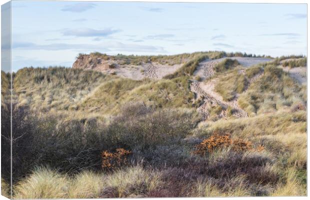 Foot prints seen up the steep sides of sand dunes Canvas Print by Jason Wells