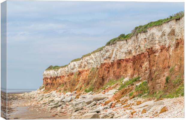 Hunstanton cliffs at low tide Canvas Print by Jason Wells
