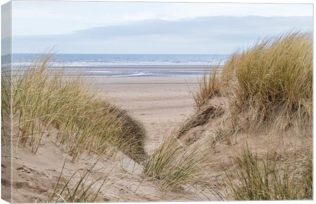 Irish Sea between the sand dunes Canvas Print by Jason Wells