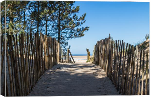 Pathway leading to Wells next the Sea beach Canvas Print by Jason Wells