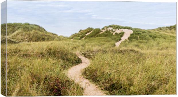 Bending trail through the sand dunes Canvas Print by Jason Wells