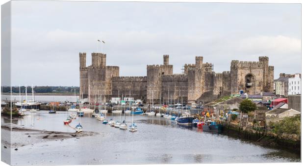 Caernarfon waterfront and castle Canvas Print by Jason Wells
