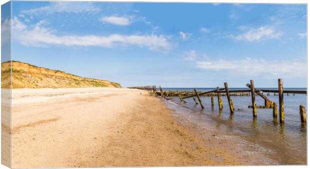 Old revetments at Happisburgh Canvas Print by Jason Wells